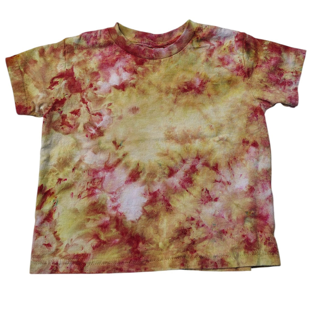 Sunset Garden Ice Dyed Shirt - Youth 4T - Handmade Tie-Dye